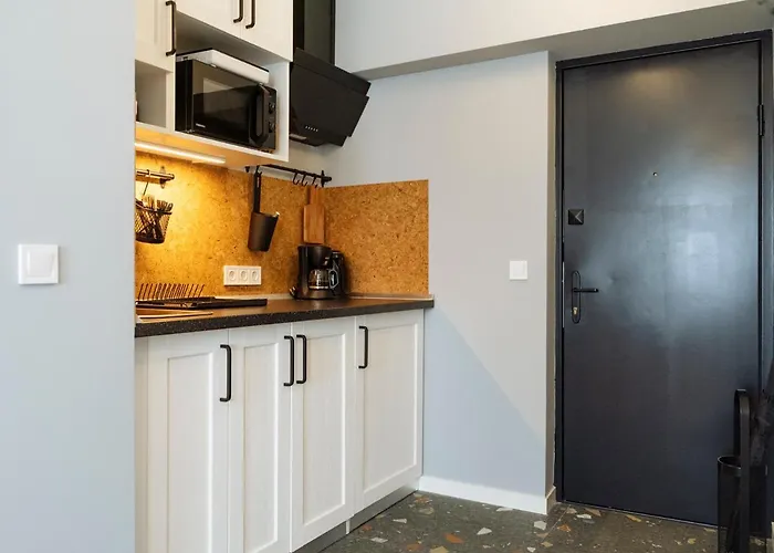 Apartamento Santos - Old - View - Balcony - Netflix Bucareste